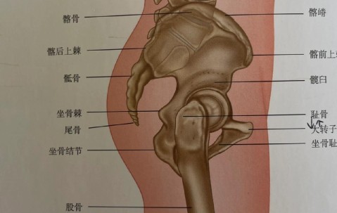 开云官网登录入口 -传说之下g语